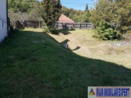 casa-cu-1-camera-si-teren-de-1600-mp-in-apa-sarata-campulung-muscel-aproape-de-centru-ideal-pentru-rezidential-2