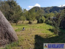 casa-cu-1-camera-si-teren-de-1600-mp-in-apa-sarata-campulung-muscel-aproape-de-centru-ideal-pentru-rezidential-3