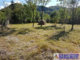 casa-cu-1-camera-si-teren-de-1600-mp-in-apa-sarata-campulung-muscel-aproape-de-centru-ideal-pentru-rezidential-4
