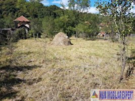 casa-cu-1-camera-si-teren-de-1600-mp-in-apa-sarata-campulung-muscel-aproape-de-centru-ideal-pentru-rezidential-5