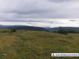 vand-teren-intraextravilan-6-ha-cretisoara-campulung-muscel-arges