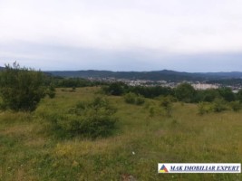 vand-teren-intraextravilan-6-ha-cretisoara-campulung-muscel-arges-1