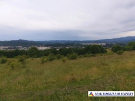 vand-teren-intraextravilan-6-ha-cretisoara-campulung-muscel-arges-2