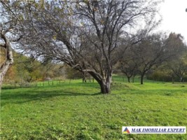 urgent-teren-intravilan-de-vanzare-214551-mp-central-in-bughea-de-jos-arges