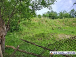 urgent-teren-intravilan-de-vanzare-214551-mp-central-in-bughea-de-jos-arges-5