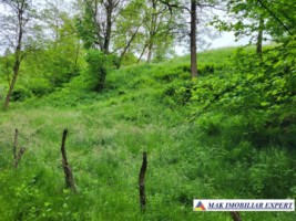 urgent-teren-intravilan-de-vanzare-214551-mp-central-in-bughea-de-jos-arges-6