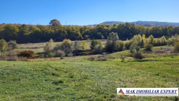 teren-7500-mp-intravilan-si-extravilan-de-vanzare-in-schitu-golesti-arges-1