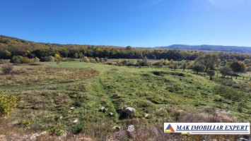 teren-7500-mp-intravilan-si-extravilan-de-vanzare-in-schitu-golesti-arges
