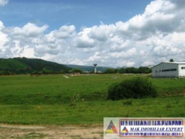 teren-7500-mp-intravilan-si-extravilan-de-vanzare-in-schitu-golesti-arges-7