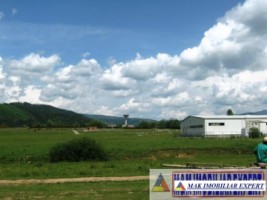 teren-7500-mp-intravilan-si-extravilan-de-vanzare-in-schitu-golesti-arges-6