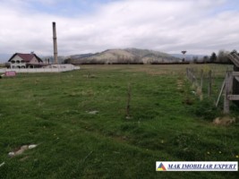 teren-7500-mp-intravilan-si-extravilan-de-vanzare-in-schitu-golesti-arges-4