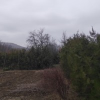 teren-intravilan-miroslava-0