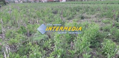 teren-intravilan-parcele-cu-500-mp-700-mp-com-ciugud