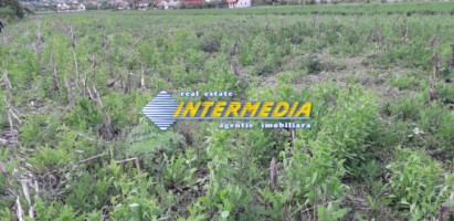 teren-intravilan-parcele-cu-500-mp-700-mp-com-ciugud-2