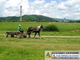 teren-intravilan-3400-mp-de-vanzare-in-grui-campulung-muscel-arges-12