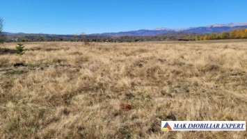 teren-intravilan-3400-mp-de-vanzare-in-grui-campulung-muscel-arges-17