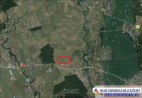 teren-5000-mp-extravilan-de-vanzare-in-snagov-tancabesti-ilfov