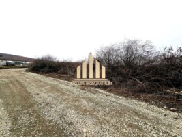 teren-intravilan-de-vanzare-micesti-2