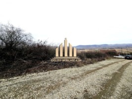 teren-intravilan-de-vanzare-micesti-3