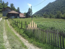 teren-intravilan-de-vanzare-martinie