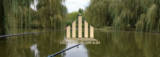 teren-intravilan-de-vanzare-recea