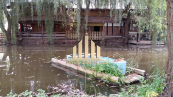 teren-intravilan-de-vanzare-recea-2