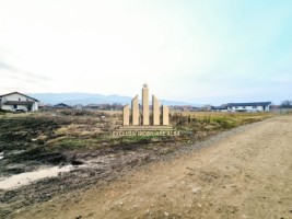 teren-intravilan-de-vanzare-alba-micesti