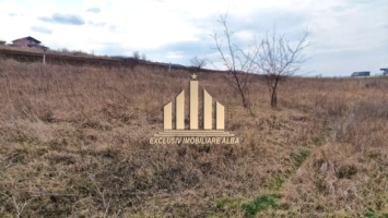 teren-intravilan-de-vanzare-in-limba-1