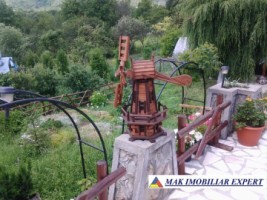 vila-cu-4-camere-si-teren-de-1800-mp-plus-15-ha-de-vanzare-in-boteni-arges-28