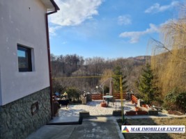 vila-cu-4-camere-si-teren-de-1800-mp-plus-15-ha-de-vanzare-in-boteni-arges-35
