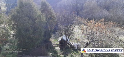 vila-cu-4-camere-si-teren-de-1800-mp-plus-15-ha-de-vanzare-in-boteni-arges-42