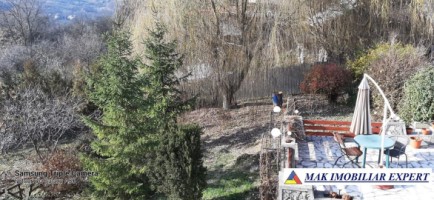 vila-cu-4-camere-si-teren-de-1800-mp-plus-15-ha-de-vanzare-in-boteni-arges-40