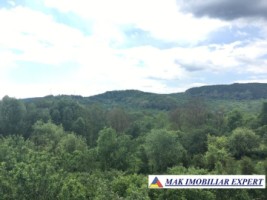 vila-cu-4-camere-si-teren-de-1800-mp-plus-15-ha-de-vanzare-in-boteni-arges-44