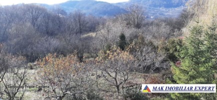 vila-cu-4-camere-si-teren-de-1800-mp-plus-15-ha-de-vanzare-in-boteni-arges-41