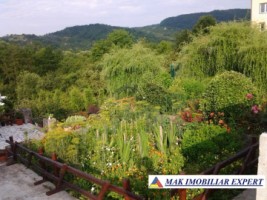 vila-cu-4-camere-si-teren-de-1800-mp-plus-15-ha-de-vanzare-in-boteni-arges-43