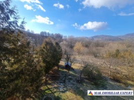 vila-cu-4-camere-si-teren-de-1800-mp-plus-15-ha-de-vanzare-in-boteni-arges-46