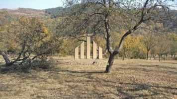 casa-de-vanzare-cu-4-hectare-teren-vintu-de-jos