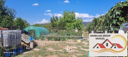 spatiu-de-inchiriatcompus-din-trei-camere-si-baie-in-campulung-muscel-zona-centru-pret-300-euro-luna-momentan-inchiriat-2