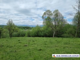teren-intravilan-15-ha-pentru-investitie-de-vanzare-in-bughea-de-sus-arges