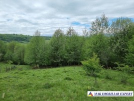 teren-intravilan-15-ha-pentru-investitie-de-vanzare-in-bughea-de-sus-arges-3