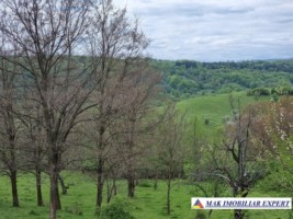 teren-intravilan-15-ha-pentru-investitie-de-vanzare-in-bughea-de-sus-arges-6