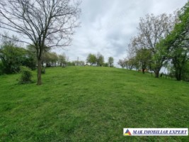teren-intravilan-15-ha-pentru-investitie-de-vanzare-in-bughea-de-sus-arges-4