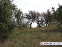 casa-2-camere-cu-teren-3756-mp-de-vanzare-in-bilcesti-valea-mare-pravat-arges-6