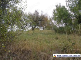 casa-2-camere-cu-teren-3756-mp-de-vanzare-in-bilcesti-valea-mare-pravat-arges-7