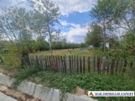 teren-2000-mp-intravilan-bughea-de-sus-arges-de-vanzare-1
