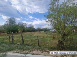 teren-2000-mp-intravilan-bughea-de-sus-arges-de-vanzare-2