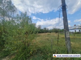 teren-2000-mp-intravilan-bughea-de-sus-arges-de-vanzare-3