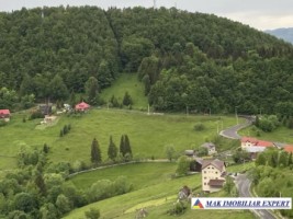 teren-3818-mp-intravilan-de-vanzare-in-dambovicioara-arges-2