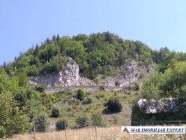 teren-3818-mp-intravilan-de-vanzare-in-dambovicioara-arges-3