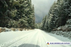teren-intravilan-padure-424-ha-de-vanzare-in-malaia-valcea-5